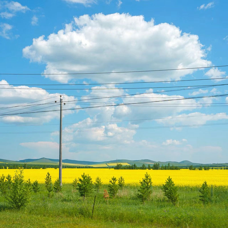 Болат электр беріліс полюсі